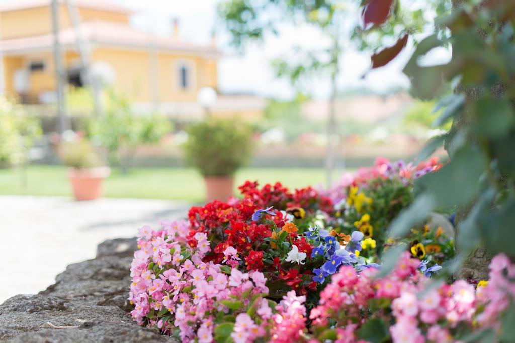 Bed And Breakfast Nonna Loreta Formello Exterior photo